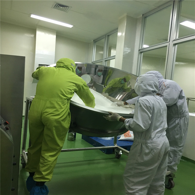 FL-120 сушилка с псевдоожиженным слоем для продукта витамина, купленного компанией Indoneisa cusotmer