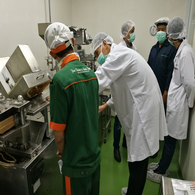 Отладочная машина для блистерной упаковки для клиентов Индонезии